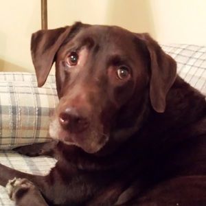 Meet your Posher, Mark